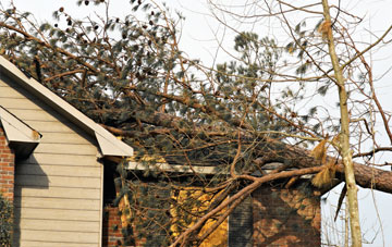 emergency roof repair Princetown