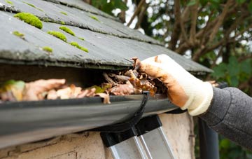 gutter cleaning Princetown